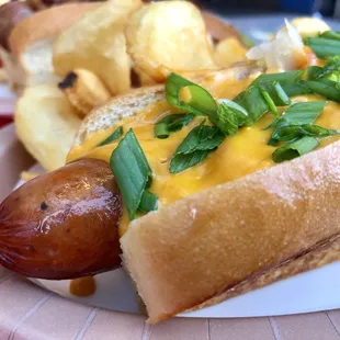 Beer Cheese Dog ($10.29)