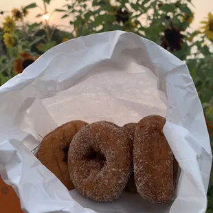 Apple Cider Donuts