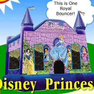 Disney Princess Bounce House - 15'x15', holds 8-12 kids at one time.