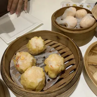 SP1. Braised Beef Brisket Tendon