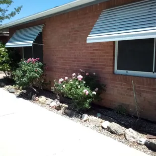 Newly installed awnings.