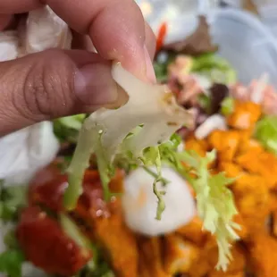 Dirty leafy greens throughout my darn salad!!!! Why!!?????