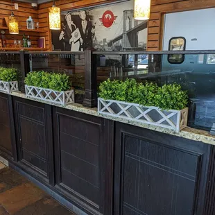Planters in the bar