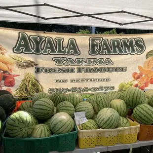 a display of fresh produce