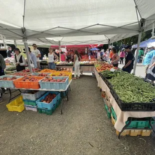 a variety of vegetables on display