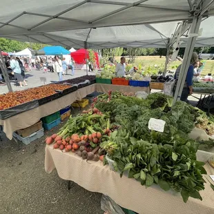 a variety of vegetables on display