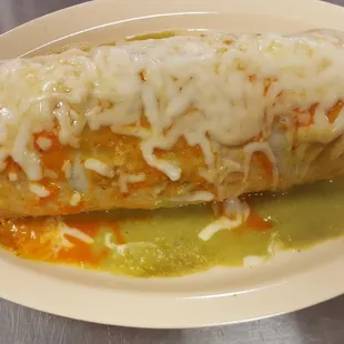 Best Wet Burrito in San Francisco