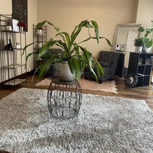 View from the Vanity