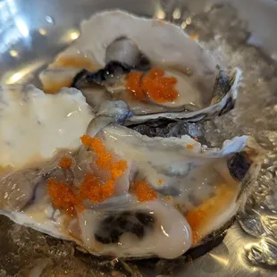 A08. Fresh Oyster