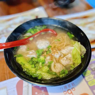 Wonton Noodles Soup