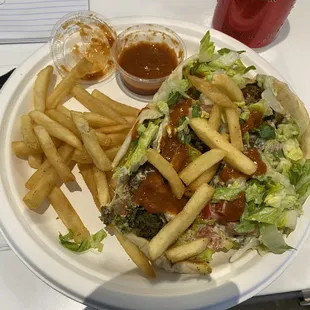 Falafel with a side of crispy, salted fries. Those are half of the fries, delicious!