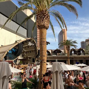 a crowd of people sitting under umbrellas