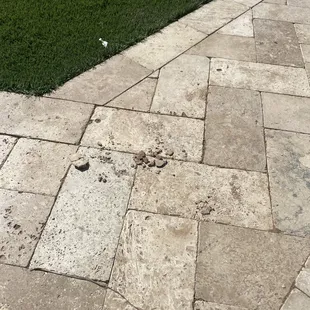 Dirt/debris left on walkway.