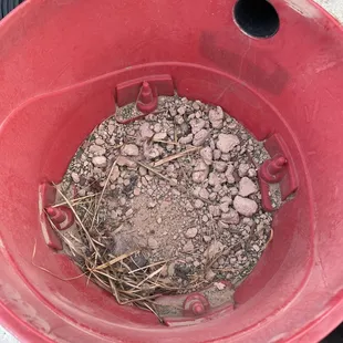 Used the shop vac to try and pick up all the debris.