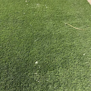 Dirt/debris left on our turf in back yard.