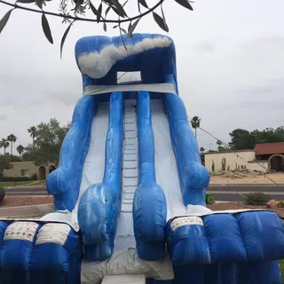 30' ft Double Line Water Slide
