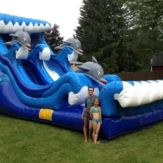20' ft Dolphins Water Slide