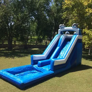17' ft Dolphins Water Slide with pool