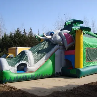 Elephant Tropical Water slide Combo