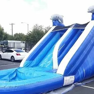 16 ft Dolphins Water Slide