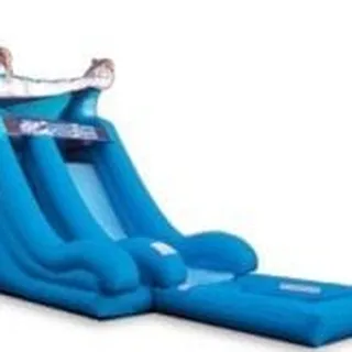 18' ft Dolphins Water Slide