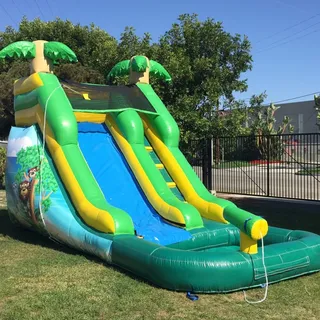 16 ft Tropical water slide
