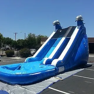20ft Blue Dolphins water slide
