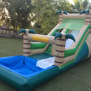 20ft Tropical water slide