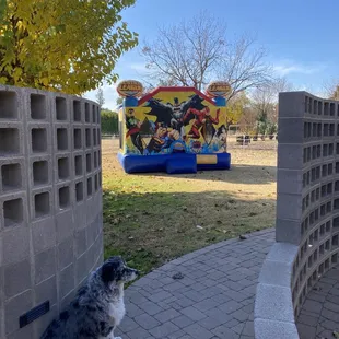 Super hero bounce house-- the kids had a blast!