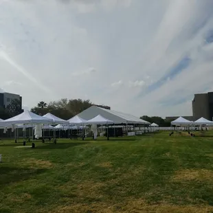 Getting ready for the Phoenix Art Festival. going on December 9-11th.