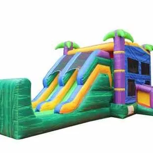 Tropical Double lane water slide