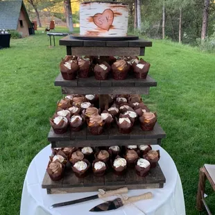 Rustic Cake and Cupcake stand