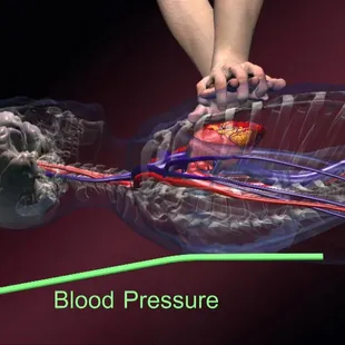 Looking for high-quality, hands-on training programs with an instructor-driven approach? American Safety &amp; Health Institute (ASHI) programs.