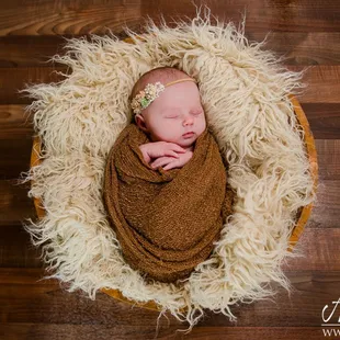 Newborn Photographer