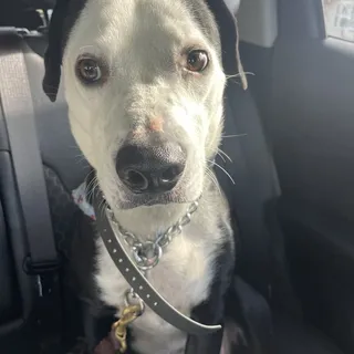 Marnie K.