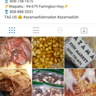 There instagram!! @azamasfish