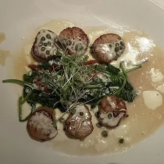 Diver Scallops