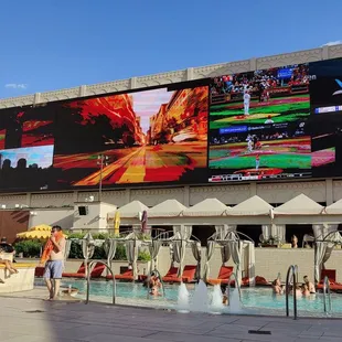 Screen above pool