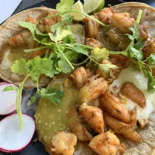 Taco- Shrimp