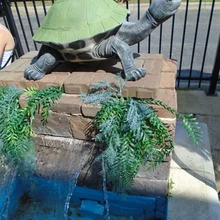Turtle fountain on the outdoor patio!