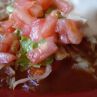 Burrito casa, close-up.