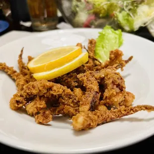 oysters and mussels, shellfish, oysters, food, mussels