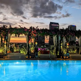 Gorgeous photo op backdrop