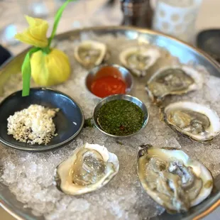 a platter of oysters