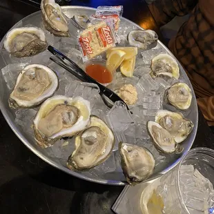 Dozen of Oysters