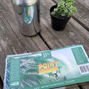 Beer can succulent night!