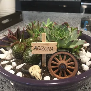 Love my little pot trinkets