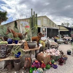 B &amp; B Cactus  Farm
