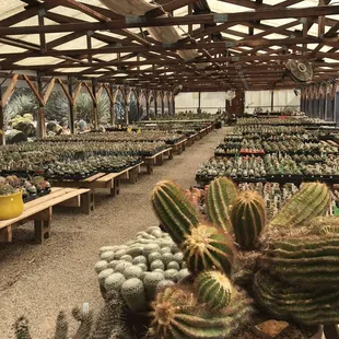 One of the greenhouses.
