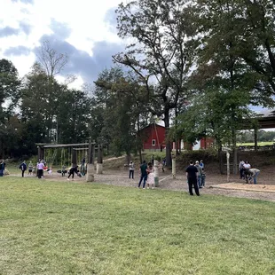 Bone dig, swings and greenfield